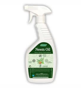 neem-oil-spray
